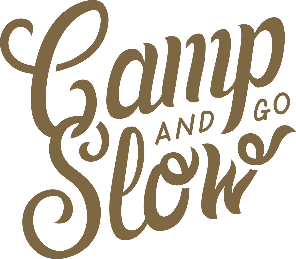 Camp And Go Slow logo