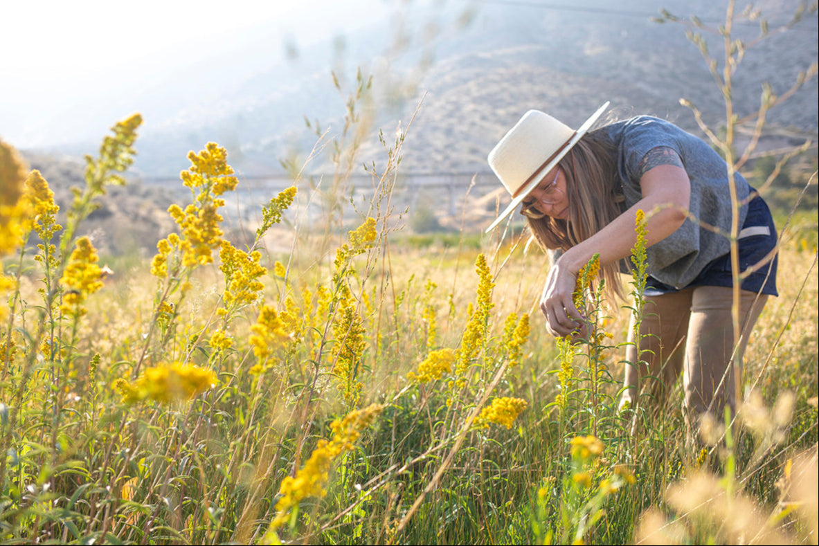 Person in a field of yellow flowers wearing a hat.